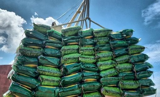 Thực trạng xuất khẩu gạo vào Philippines và bài toán cần tháo gỡ