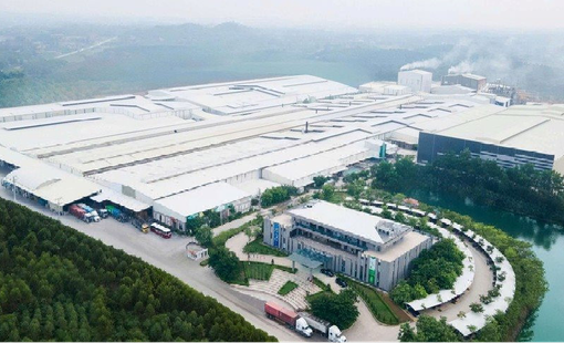 Trước thềm huy động vốn gần 800 tỷ đồng, Amy Grupo của Chủ tịch 75 tuổi báo lãi giảm 13%