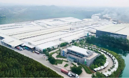 Trước thềm huy động vốn gần 800 tỷ đồng, Amy Grupo của Chủ tịch 75 tuổi báo lãi giảm 13%
