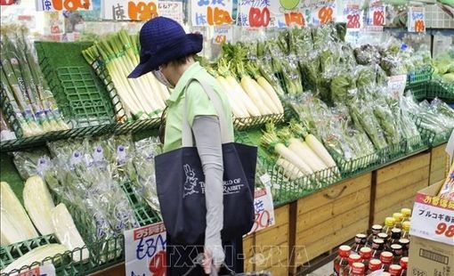 Tiền lương tại Nhật Bản tăng mạnh nhất trong gần 30 năm
