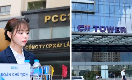 Nhóm CII tiếp tục gom cổ phiếu công ty có nữ Chủ tịch SN 1999, sở hữu lần đầu tiên vượt 13%