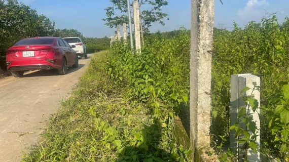Nhà đầu tư bất động sản nhỏ lẻ “đuối sức”, xuất hiện tình trạng cố rao bán sản phẩm càng nhanh càng tốt