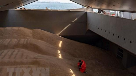 Nga bắt đầu dừng tham gia thỏa thuận ngũ cốc trên Biển Đen