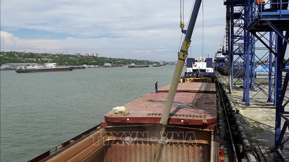 Nguồn cung lương thực sẽ ra sao sau khi Nga rút khỏi thỏa thuận ngũ cốc với Ukraine?