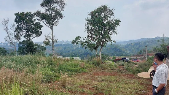 Tưởng mua lô đất cắt lỗ khi thị trường trầm lắng, vợ chồng trẻ “tá hoả” phát hiện hoá ra đất lỗi phong thuỷ