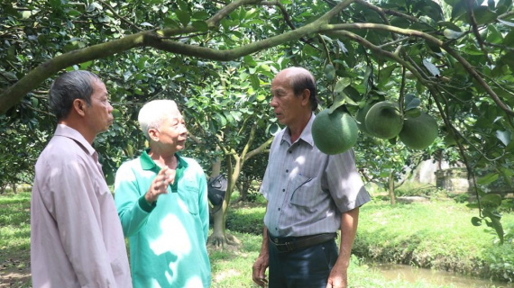 Học cách tìm đầu ra nông sản chuyên nghiệp