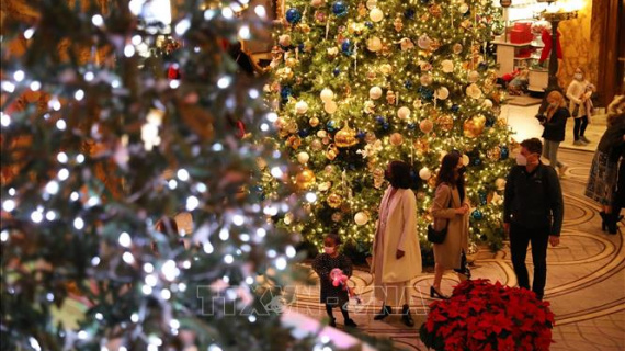 Cây thông Noel vẫn đắt hàng tại Mỹ bất chấp lạm phát