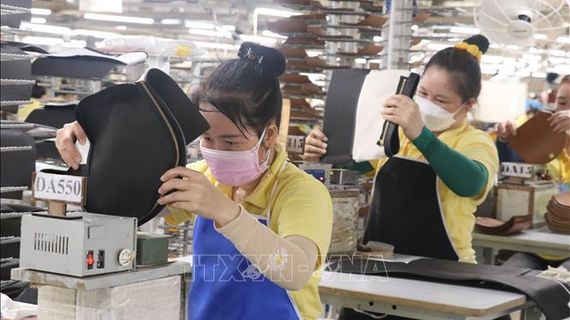 Lý do ngày càng nhiều doanh nghiệp châu Âu chọn đầu tư ở Việt Nam
