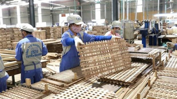Giải pháp giúp doanh nghiệp xuất khẩu phòng ngừa rủi ro về tỷ giá