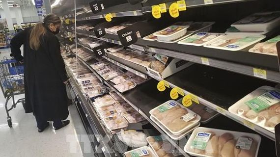 Chu kỳ nâng lãi suất của Ngân hàng trung ương Canada đang phát huy tác dụng