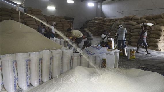 Giá gạo Ấn Độ tăng lên mức cao nhất trong gần hai năm