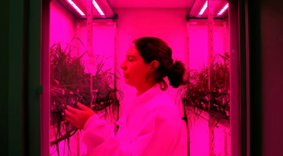 Nước Anh mơ thành 