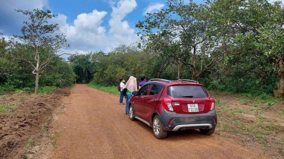 Dự báo thời điểm cơn 