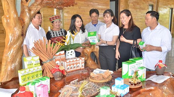 Văn Yên - Yên Bái: Điểm sáng thu hút dòng vốn đầu tư khu vực Tây Bắc