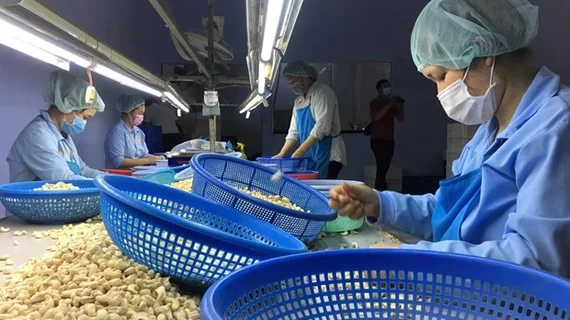 Dư địa nào cho hàng Việt Nam sang thị trường Âu-Mỹ?
