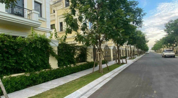 Nhà đầu tư đang 