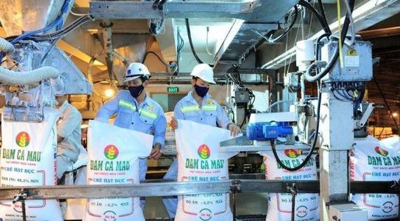 Đạm Cà Mau và Đạm Phú Mỹ đang hoạt động thế nào trước đề xuất ngừng toàn bộ nhà máy nhường khí cho sản xuất điện