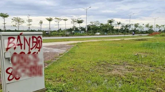 Hà Nội chuẩn bị đấu giá gần 200 lô đất giữa bối cảnh thị trường trầm lắng, giá khởi điểm có lô lên tới 7,7 tỷ đồng