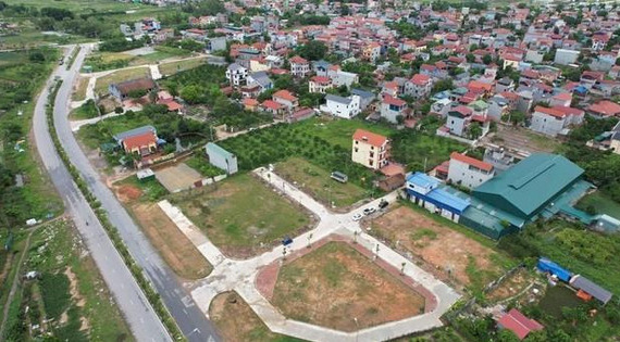 Đất đấu giá 