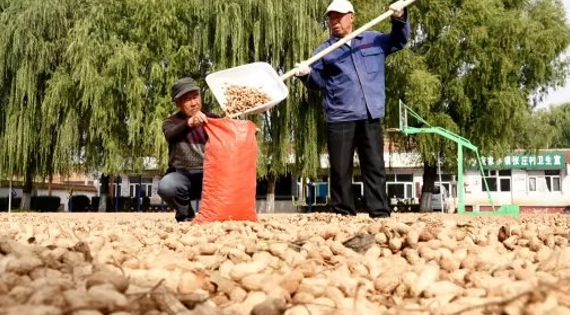 Một loạt nông sản Việt Nam sản xuất thuộc top đầu thế giới bất ngờ tăng nóng do El Nino