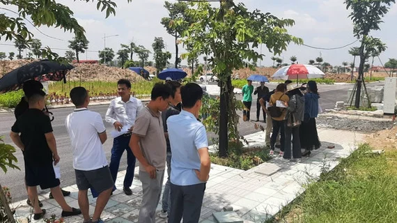 Chuyên gia nhận định 