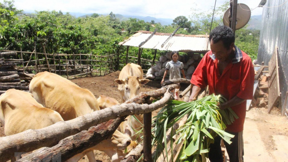 Tăng mức cho vay và giảm lãi suất đối với hộ gia đình ở vùng khó khăn