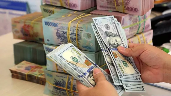 Thị trường có những 