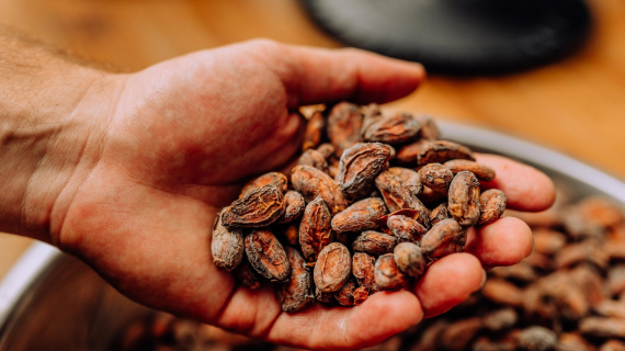 Phân tích nguyên nhân giá socola trên toàn cầu chuẩn bị lập kỷ lục mới