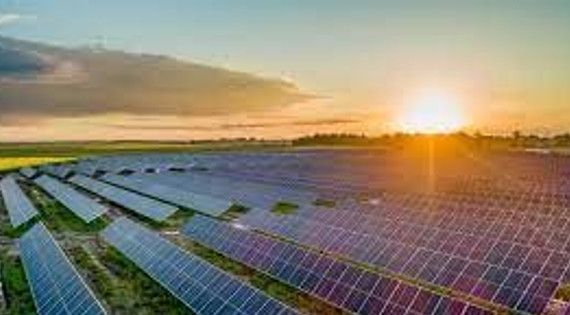 Licogi 13, Halcom, Tập đoàn Sao Mai... bị tỉnh Hậu Giang bãi bỏ chủ trương đầu tư các dự án điện mặt trời