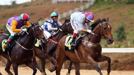 Top 10 cổ phiếu tăng/giảm mạnh nhất tuần: Cổ phiếu 