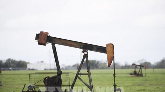 Giá dầu tiếp đà tăng trong phiên chiều 25/10