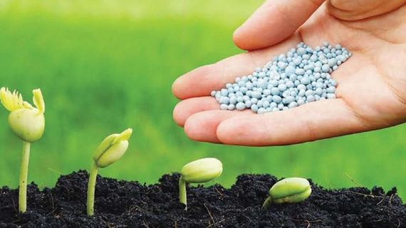 Những doanh nghiệp sẽ được hưởng lợi khi phân bón chính thức chịu thuế VAT 5%