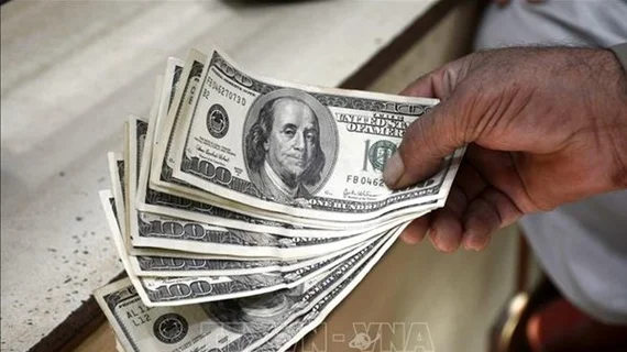 USD lên ngôi trong năm 2024