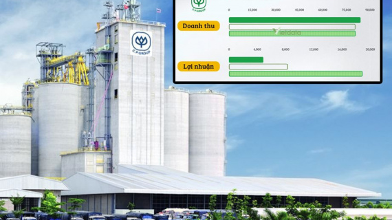 C.P. Việt Nam: doanh thu tăng tiến, lợi nhuận giảm sâu