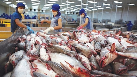 Xuất khẩu thủy sản 2 tháng đầu năm đạt trên 1,3 tỷ USD