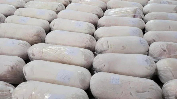 Giá heo hơi vào “sóng” tăng sắp chạm mốc 70.000 đồng/kg, nhiều 'ông lớn' đua nhau tái đàn