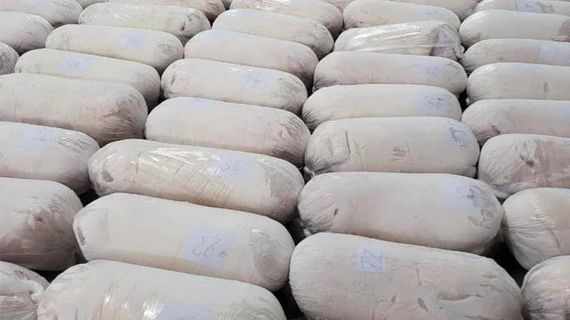 Giá heo hơi vào “sóng” tăng sắp chạm mốc 70.000 đồng/kg, nhiều 'ông lớn' đua nhau tái đàn