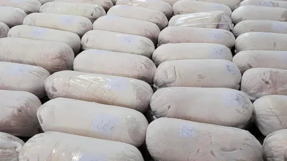 Giá heo hơi vào “sóng” tăng sắp chạm mốc 70.000 đồng/kg, nhiều 'ông lớn' đua nhau tái đàn