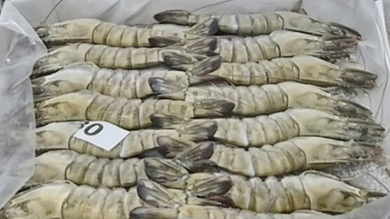 Xuất khẩu tôm sang Nhật Bản: Đồng yên yếu làm giảm sức mua