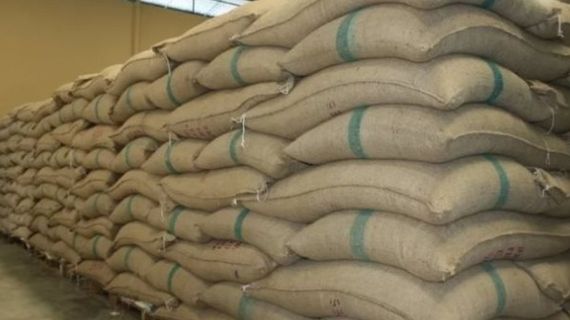 Quốc gia nhập khẩu lớn nhất thế giới bất ngờ giảm 1 nửa thuế đối với một loại nông sản cực quan trọng, Việt Nam sắp hưởng lợi lớn