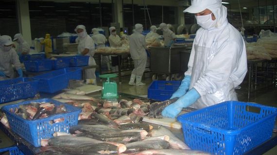 Thị trường tỷ dân rất chuộng nhóm hàng thủy sản tươi sống từ Việt Nam