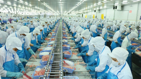 Giá vốn cao và áp lực chi phí 