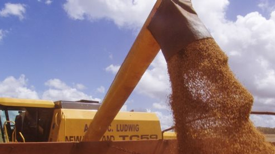 2 ông trùm nông sản của thế giới đua nhau mang “báu vật” giá cực rẻ đến Việt Nam: Chi hơn 1 tỷ USD nhập khẩu, nước ta là ‘cá mập’ tiêu thụ top đầu