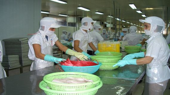 Kim ngạch xuất khẩu cá tra tháng 7 tăng trưởng 2 con số