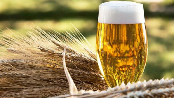 Công ty của đại gia 