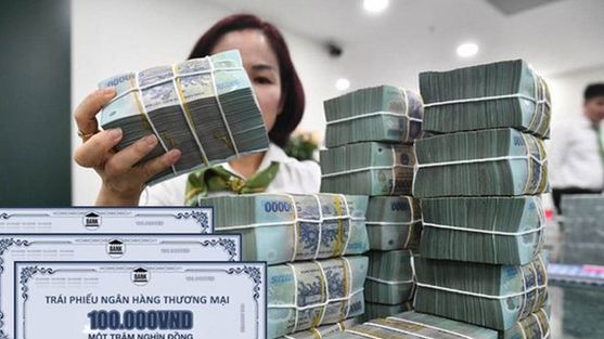 Ngân hàng thương mại là động lực chính của thị trường TPDN