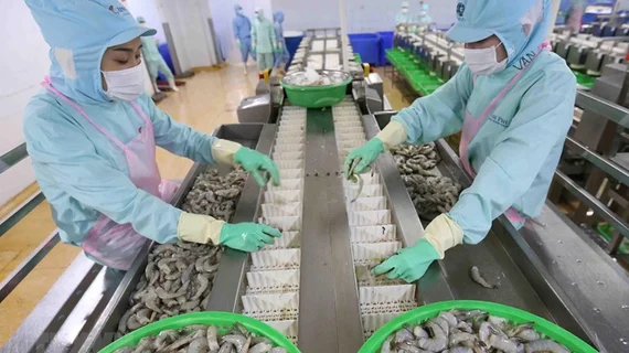Xuất khẩu thị trường gần, doanh nghiệp thủy sản có nhiều lợi thế