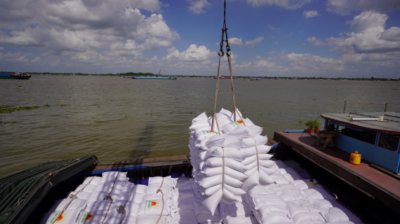 Ấn Độ quay lại xuất khẩu gạo, thị trường gạo trong nước có bị ảnh hưởng?