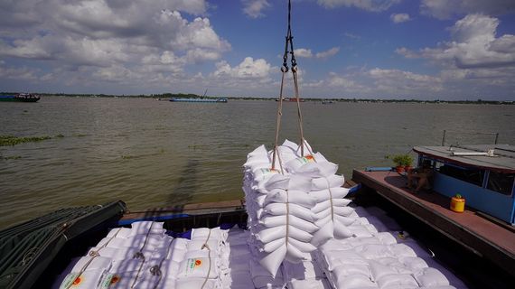 Ấn Độ quay lại xuất khẩu gạo, thị trường gạo trong nước có bị ảnh hưởng?