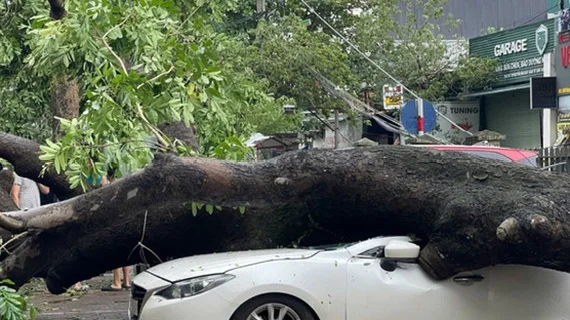 Các công ty bảo hiểm dự tính bồi thường hàng nghìn tỷ đồng thiệt hại do bão số 3